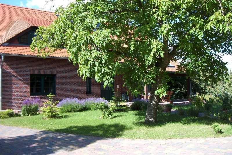 Kraeuter_Landhaus Bad Schmiedeberg Exterior photo